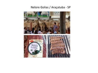 Nelore	
  Golias	
  /	
  Araçatuba	
  -­‐	
  SP	
  
 
