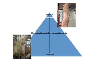  
	
  
	
  
	
  
	
  
	
  
	
  
	
  
	
  
	
  
	
  
	
  
	
  
Commodity	
  
Especial	
  
Mercado	
  diferenciado	
  =	
  bom	
  acabamento	
  
 