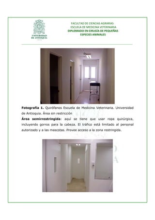 FACULTAD DE CIENCIAS AGRARIAS   
                                   ESCUELA DE MEDICINA VETERINARIA  
                                 DIPLOMADO EN CIRUGÍA DE PEQUEÑAS  
                                         ESPECIES ANIMALES 
                      
________________________________________________________________________________ 
 




                  15/10/2008         Carlos Riaño B              25




Fotografía 1. Quirófanos Escuela de Medicina Veterinaria. Universidad
de Antioquia. Área sin restricción
Área semirrestringida: aquí se tiene que usar ropa quirúrgica,
incluyendo gorros para la cabeza. El tráfico está limitado al personal
autorizado y a las mascotas. Provee acceso a la zona restringida.




                    15/10/2008       Carlos Riaño B         24
 