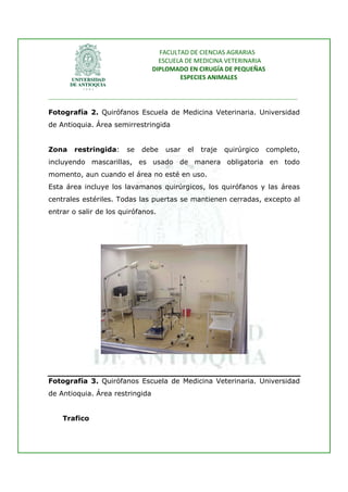 FACULTAD DE CIENCIAS AGRARIAS   
                                      ESCUELA DE MEDICINA VETERINARIA  
                                    DIPLOMADO EN CIRUGÍA DE PEQUEÑAS  
                                            ESPECIES ANIMALES 
                      
________________________________________________________________________________ 
 
Fotografía 2. Quirófanos Escuela de Medicina Veterinaria. Universidad
de Antioquia. Área semirrestringida


Zona    restringida:         se   debe   usar             el   traje   quirúrgico   completo,
incluyendo mascarillas, es usado de manera obligatoria en todo
momento, aun cuando el área no esté en uso.
Esta área incluye los lavamanos quirúrgicos, los quirófanos y las áreas
centrales estériles. Todas las puertas se mantienen cerradas, excepto al
entrar o salir de los quirófanos.




                    15/10/2008           Carlos Riaño B                  23




Fotografía 3. Quirófanos Escuela de Medicina Veterinaria. Universidad
de Antioquia. Área restringida


    Trafico
 