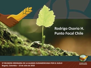 5ª REUNION ORDINARIA DE LA ALIANZA SUDAMERICANA POR EL SUELO
Bogotá, Colombia – 10 de Julio de 2018
Rodrigo Osorio H.
Punto Focal Chile
 