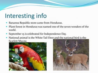 Interesting info
 Bananna Republic store came from Honduras.
 Plant forest in Honduras was named one of the seven wonders of the
world.
 September 15 is celebrated for Independence Day.
 National animal is the White Tail Deer and the national bird is the
Scarlett Macaw.
 