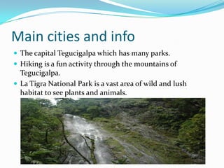 Main cities and info
 The capital Tegucigalpa which has many parks.
 Hiking is a fun activity through the mountains of
Tegucigalpa.
 La Tigra National Park is a vast area of wild and lush
habitat to see plants and animals.
 