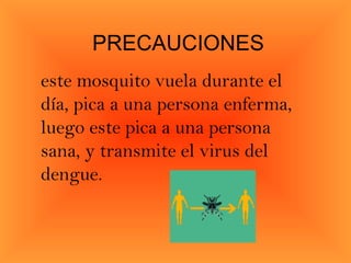 PRECAUCIONES este mosquito vuela durante el día, pica a una persona enferma, luego este pica a una persona sana, y transmite el virus del dengue. 