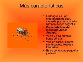 Más características El dengue es una enfermedad tropical, causada por un mosquito llamado Aedes aegyptis. Características del mosquito  Aedes Aegypti: Vuela y pica durante horas del día.  Vive en casas, lugares sombreados, frescos y tranquilos.  Es de contextura pequeña y oscura.  