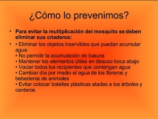 ¿Cómo lo prevenimos? Para evitar la multiplicación del mosquito se deben eliminar sus criaderos: •  Eliminar los objetos inservibles que puedan acumular agua  • No permitir la acumulación de basura  • Mantener los elementos útiles en desuso boca abajo  • Vaciar todos los recipientes que contengan agua  • Cambiar día por medio el agua de los floreros y bebederos de animales  • Evitar colocar botellas plásticas atadas a los árboles y canteros 