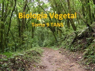 Biología Vegetal
   Tema 9 TANS
 