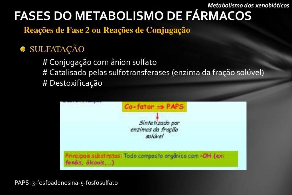 recetas metabolismo acelerado cura