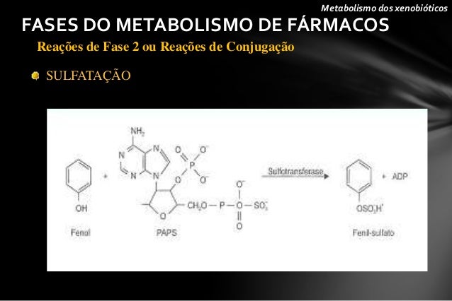Cite Exemplos De Fármacos Inibidores E Indutores Da Citocromo P450