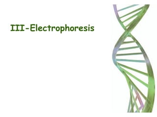 III-Electrophoresis
 