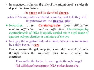 • In an aqueous solution the role of the migration of a molecule
depends on two factors:
its shape and its electrical charge,
when DNA molecules are placed in an eleclrical field they will
migrate towards the positive pole.
 Nowadays, Billion Crystallography X-ray diffraction,
neutron diffraction, electron diffraction, Chromatography
electrophoresis of DNA is usually carried out in a gel made of
agarose, polyacrylamide or a mixture of the two
 In a gel, the migration role of a macromolecule is influenced
by a third factor, its size
This is because the gel comprises a complex network of pores
through which the molecules must travel to reach the
electrode.
The smaller the faster it can migrate through the gel
Gel will therefore separate DNA molecules to size
 