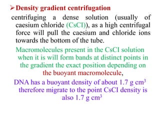 Density gradient centrifugation
centrifuging a dense solution (usually of
caesium chloride (CsCI)), as a high centrifugal
force will pull the caesium and chloride ions
towards the bottom of the tube.
Macromolecules present in the CsCI solution
when it is will form bands at distinct points in
the gradient the exact position depending on
the buoyant macromolecule,
DNA has a buoyant density of about 1.7 g cm3
therefore migrate to the point CsCI density is
also 1.7 g cm3
 