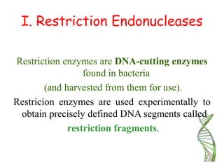 I. Restriction Endonucleases
Restriction enzymes are DNA-cutting enzymes
found in bacteria
(and harvested from them for use).
Restricion enzymes are used experimentally to
obtain precisely defined DNA segments called
restriction fragments.
 