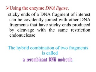 Using the enzyme DNA ligase,
sticky ends of a DNA fragment of interest
can be covalently joined with other DNA
fragments that have sticky ends produced
by cleavage with the same restriction
endonuclease
The hybrid combination of two fragments
is called
a recombinant DNA molecule.
 
