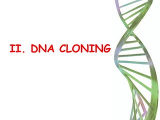 II. DNA CLONING
 