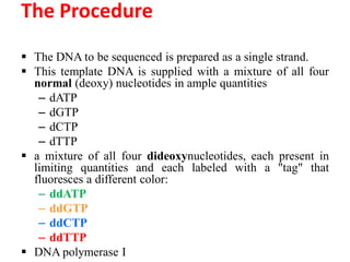 The Procedure
 The DNA to be sequenced is prepared as a single strand.
 This template DNA is supplied with a mixture of all four
normal (deoxy) nucleotides in ample quantities
– dATP
– dGTP
– dCTP
– dTTP
 a mixture of all four dideoxynucleotides, each present in
limiting quantities and each labeled with a "tag" that
fluoresces a different color:
– ddATP
– ddGTP
– ddCTP
– ddTTP
 DNA polymerase I
 