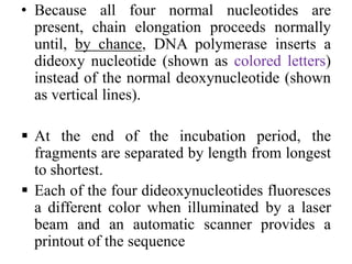 • Because all four normal nucleotides are
present, chain elongation proceeds normally
until, by chance, DNA polymerase inserts a
dideoxy nucleotide (shown as colored letters)
instead of the normal deoxynucleotide (shown
as vertical lines).
 At the end of the incubation period, the
fragments are separated by length from longest
to shortest.
 Each of the four dideoxynucleotides fluoresces
a different color when illuminated by a laser
beam and an automatic scanner provides a
printout of the sequence
 