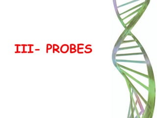 III- PROBES
 