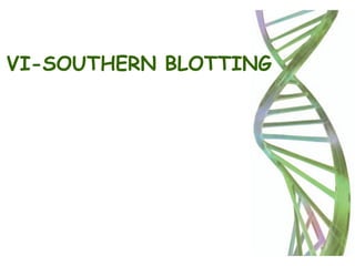 VI-SOUTHERN BLOTTING
 