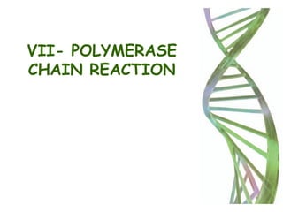 VII- POLYMERASE
CHAIN REACTION
 