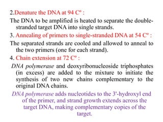 2.Denature the DNA at 94 Cº :
The DNA to be amplified is heated to separate the double-
stranded target DNA into single strands.
3. Annealing of primers to single-stranded DNA at 54 Cº :
The separated strands are cooled and allowed to anneal to
the two primers (one for each strand).
4. Chain extension at 72 Cº :
DNA polymerase and deoxyribonucleoside triphosphates
(in excess) are added to the mixture to initiate the
synthesis of two new chains complementary to the
original DNA chains.
DNA polymerase adds nucleotides to the 3'-hydroxyl end
of the primer, and strand growth extends across the
target DNA, making complementary copies of the
target.
 