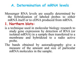 A. Determination of mRNA levels
Messenger RNA levels are usually determined by
the hybridization of labeled probes to either
mRNA itself or to cDNA produced from mRNA.
1. Northern blots:
is a technique used in molecular biology research to
study gene expression by detection of RNA (or
isolated mRNA) in a sample then transferred to a
membrane and hybridized to a radio active
probe.
The bands obtained by autoradiography give a
measure of the amount and size of particular
mRNA molecules in the sample.
 