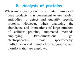 B. Analysis of proteins
When investigating one, or a limited number of
gene products, it is convenient to use labeled
antibodies to detect and quantify specific
proteins. However, when analyzing the
abundance and interactions of large numbers
of cellular proteins, automated methods
employing two-dimensional gel
electrophoresis, mass spectrometry,
multidimensional liquid chromatography, and
bioinformatics are employed.
 