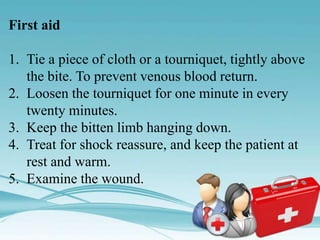 Forebite First Aid bites and first aid ppt. | PPTX