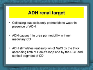 711-Body Fluids and human regulation.ppt