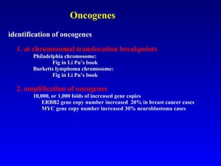 Oncogenes   identification of oncogenes  1. at chromosomal translocation breakpoints   Philadelphia chromosome:  Fig in Li Pu’s book   Burketts lymphoma chromosome:  Fig in Li Pu’s book 2. amplification of oncogenes   10,000, or 1,000 folds of increased gene copies   ERBB2 gene copy number increased  20% in breast cancer cases   MYC gene copy number increased 30% neuroblastoma cases  