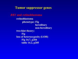 Tumor suppressor genes   RB1  and retinoblastoma   retinoblastoma     phenotype: Fig   hereditary   non-hereditary   two-hint theory:  Fig   loss of heterozygosity (LOH)  Fig 14.7, p204 table 14.2, p205 