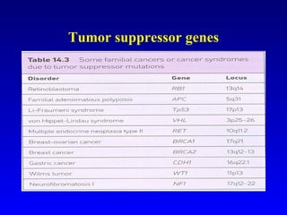 Tumor suppressor genes 