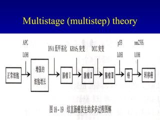 Multistage (multistep) theory 