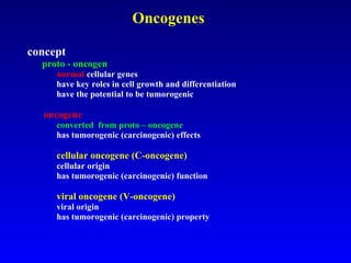 Oncogenes concept   proto - oncogen normal  cellular genes have key roles in cell growth and differentiation have the potential to be tumorogenic   oncogene converted  from proto – oncogene has tumorogenic (carcinogenic) effects   cellular oncogene (C-oncogene) cellular origin  has tumorogenic (carcinogenic) function    viral oncogene (V-oncogene) viral origin  has tumorogenic (carcinogenic) property  