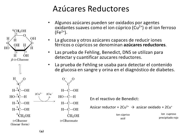 7 Carbohidratos