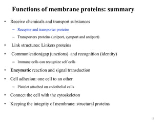 Functions of membrane proteins: summary
• Receive chemicals and transport substances
– Receptor and transporter proteins
– Transporters proteins (uniport, symport and antiport)
• Link structures: Linkers proteins
• Communication(gap junctions) and recognition (identity)
– Immune cells can recognize self cells
• Enzymatic reaction and signal transduction
• Cell adhesion: one cell to an other
– Platelet attached on endothelial cells
• Connect the cell with the cytoskeleton
• Keeping the integrity of membrane: structural proteins
12
 