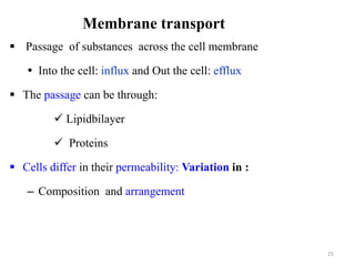 Membrane transport
 Passage of substances across the cell membrane
 Into the cell: influx and Out the cell: efflux
 The passage can be through:
 Lipidbilayer
 Proteins
 Cells differ in their permeability: Variation in :
– Composition and arrangement
25
 
