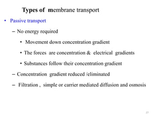 Types of membrane transport
• Passive transport
– No energy required
• Movement down concentration gradient
• The forces are concentration & electrical gradients
• Substances follow their concentration gradient
– Concentration gradient reduced /eliminated
– Filtration , simple or carrier mediated diffusion and osmosis
27
 