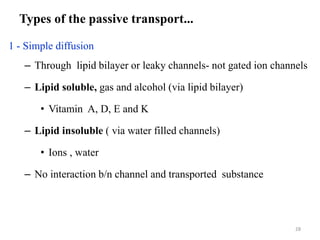 Types of the passive transport...
1 - Simple diffusion
– Through lipid bilayer or leaky channels- not gated ion channels
– Lipid soluble, gas and alcohol (via lipid bilayer)
• Vitamin A, D, E and K
– Lipid insoluble ( via water filled channels)
• Ions , water
– No interaction b/n channel and transported substance
28
 