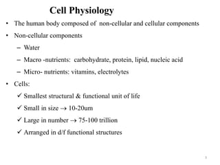 Cell Physiology
• The human body composed of non-cellular and cellular components
• Non-cellular components
– Water
– Macro -nutrients: carbohydrate, protein, lipid, nucleic acid
– Micro- nutrients: vitamins, electrolytes
• Cells:
 Smallest structural & functional unit of life
 Small in size  10-20um
 Large in number  75-100 trillion
 Arranged in d/f functional structures
3
 