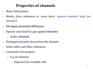 Properties of channels
- Water field proteins
- Mostly, allow substances to move down (passive channels- leaky ion
channels)
- Dissipate potential difference
- Opened and closed by gate (gated channels)
- Active channels
- Prolonged activation desensitizes the channels
- Select influx and efflux substances
- Connected with receptors
- E.g ion channels
- Important for excitable cells
30
 