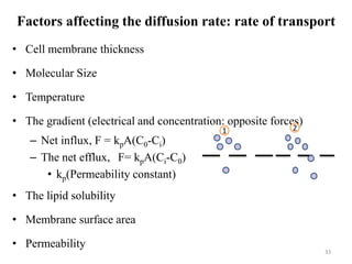 Factors affecting the diffusion rate: rate of transport
• Cell membrane thickness
• Molecular Size
• Temperature
• The gradient (electrical and concentration: opposite forces)
– Net influx, F = kpA(C0-Ci)
– The net efflux, F= kpA(Ci-C0)
• kp(Permeability constant)
• The lipid solubility
• Membrane surface area
• Permeability
33
1 2
 