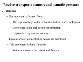 Passive transport: osmosis and osmotic pressure
3- Osmosis
– Net movement of water from
• The region of high water molecules to low water molecules
• Low solute to the high solute concentration
• Hypotonic to hypertonic solution
– Equalizes water concentration across the membrane
– This movement is there if there is
• Water and solute concentration difference
37
 