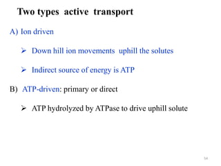 A) Ion driven
 Down hill ion movements uphill the solutes
 Indirect source of energy is ATP
B) ATP-driven: primary or direct
 ATP hydrolyzed by ATPase to drive uphill solute
Two types active transport
54
 