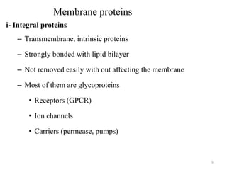 Membrane proteins
i- Integral proteins
– Transmembrane, intrinsic proteins
– Strongly bonded with lipid bilayer
– Not removed easily with out affecting the membrane
– Most of them are glycoproteins
• Receptors (GPCR)
• Ion channels
• Carriers (permease, pumps)
9
 