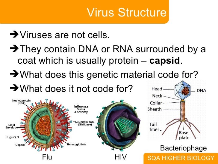 7. Cellular Response In Defence In Animals And Plants