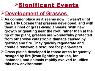 Significant Events
Development of Grasses
 As commonplace as it seems now, it wasn't until
the Early Eocene that grasses developed, and with
them a host of grass-living animals. With new
growth originating near the root, rather than at the
tip of the plant, grasses are wonderfully protected
from otherwise catastropic damage caused by
grazing and fire. They quickly regenerate and
create a renewable resource for plant-eaters.
 Grass plains developed in those areas frequently
ravaged by fire (from lightning strikes, for
instance), and animals rapidly evolved to utilize
this new environment.
 