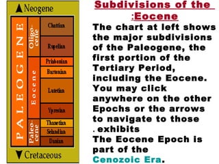 Subdivisions of the
Eocene:
The chart at left shows
the major subdivisions
of the Paleogene, the
first portion of the
Tertiary Period,
including the Eocene.
You may click
anywhere on the other
Epochs or the arrows
to navigate to those
exhibits.
The Eocene Epoch is
part of the
Cenozoic Era.
 