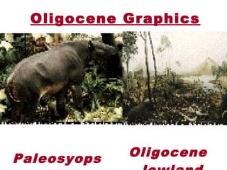 Oligocene Graphics
 Paleosyops Oligocene
 