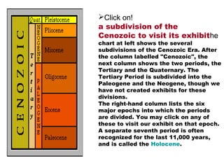 Click on!
a subdivision of the
Cenozoic to visit its exhibithe
chart at left shows the several
subdivisions of the Cenozoic Era. After
the column labelled "Cenozoic", the
next column shows the two periods, the
Tertiary and the Quaternary. The
Tertiary Period is subdivided into the
Paleogene and the Neogene, though we
have not created exhibits for these
divisions.
The right-hand column lists the six
major epochs into which the periods
are divided. You may click on any of
these to visit our exhibit on that epoch.
A separate seventh period is often
recognized for the last 11,000 years,
and is called the Holocene.
 
